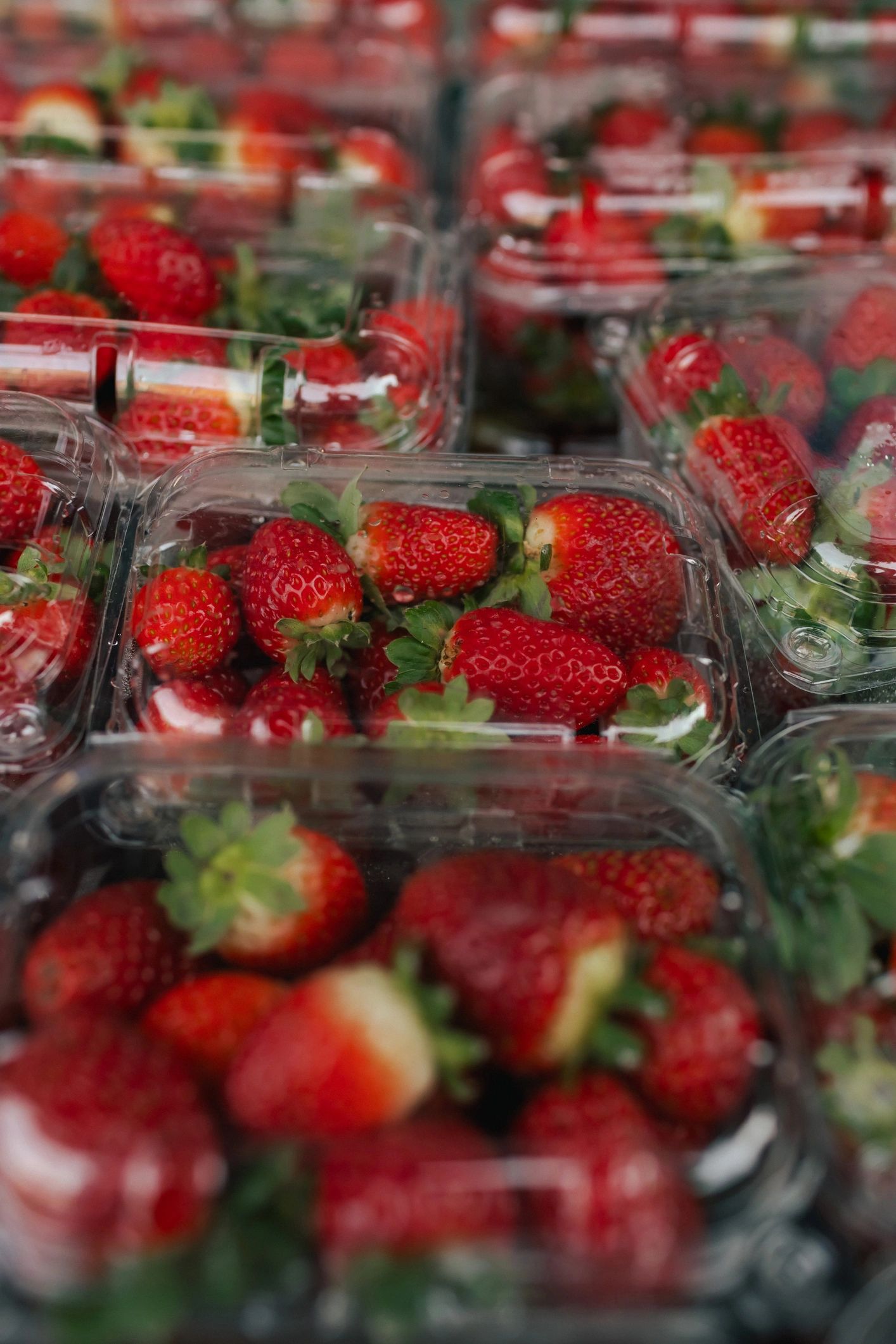 Strawberry fields